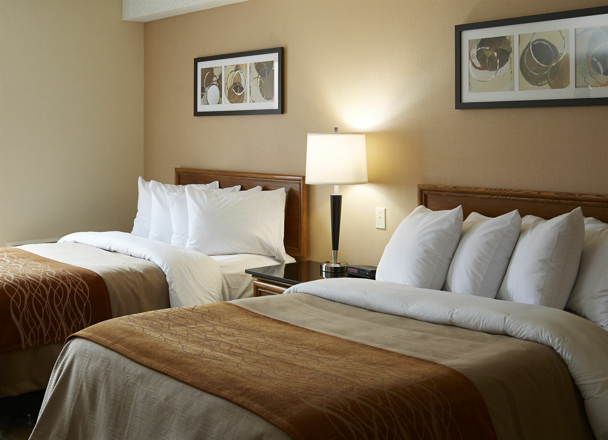 Comfort Inn Hwy 401 Кингстън Екстериор снимка